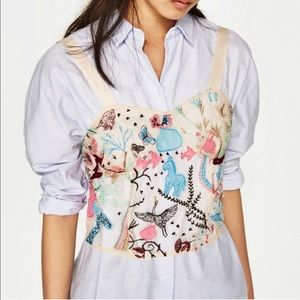 ZARA Embroidered Sheer Top